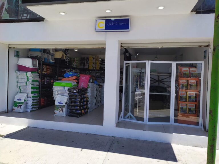 51501 club 4 pets 768x576
