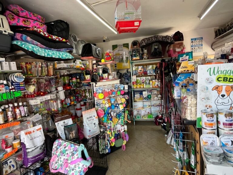 51505 claupa pets 768x576