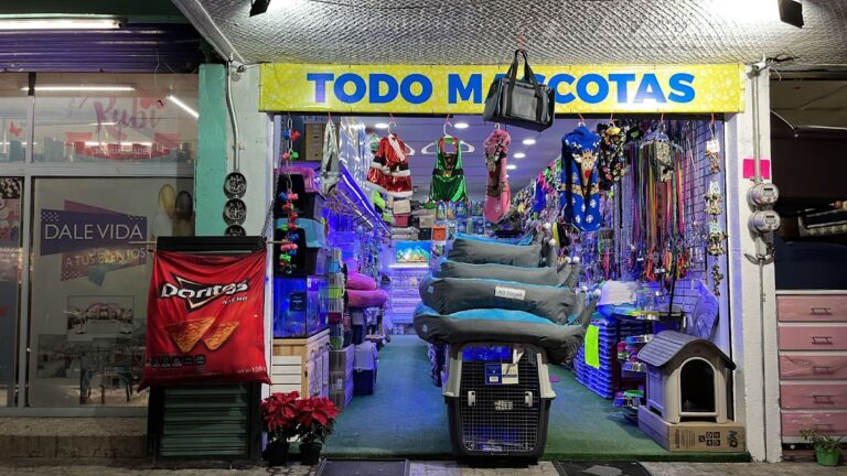 51528 todo mascotas toluca centro 768x432