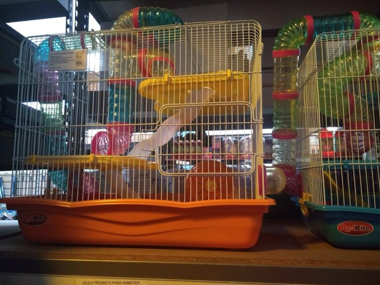 51532 pet planet s.a. de c.v 768x576