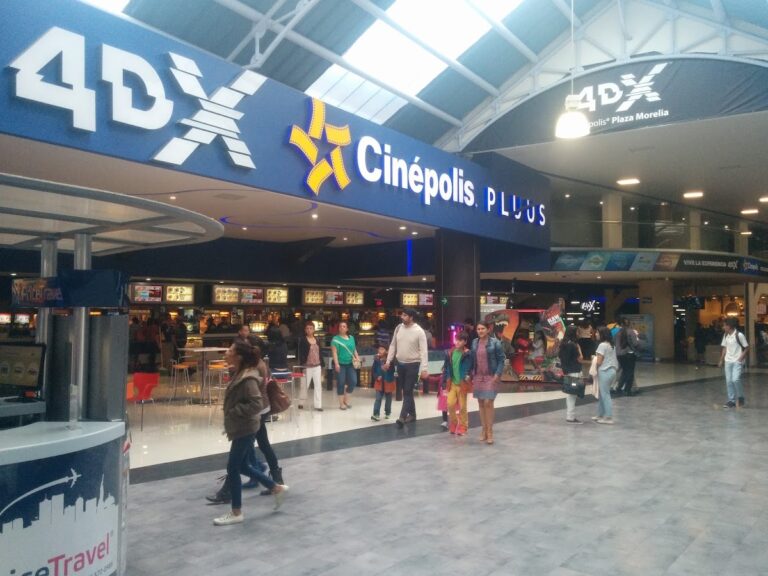 51542 mascotas eedenchihuahuas 768x576