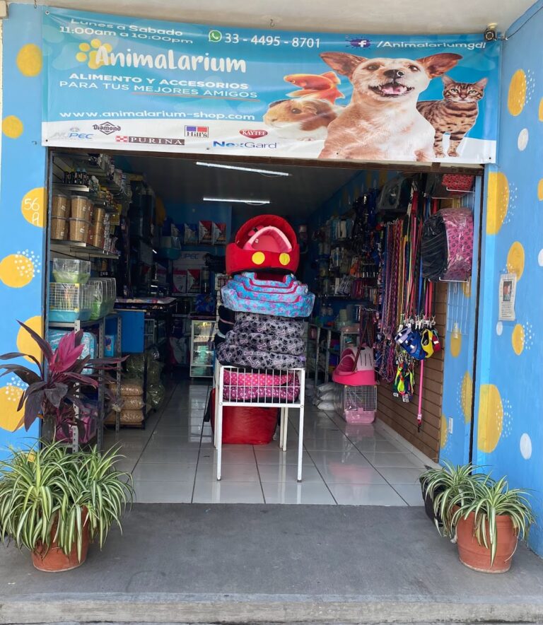 51554 animalarium 768x884