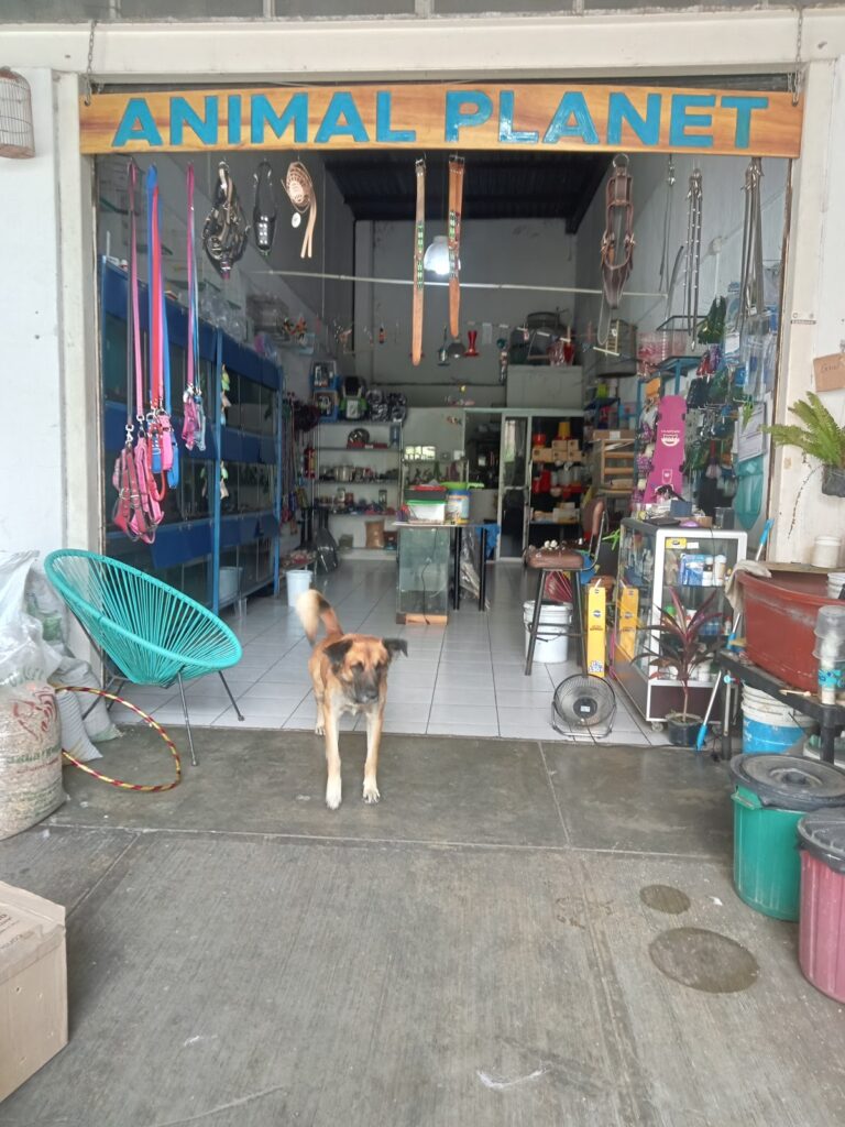 51577 animal planet tepic 768x1024