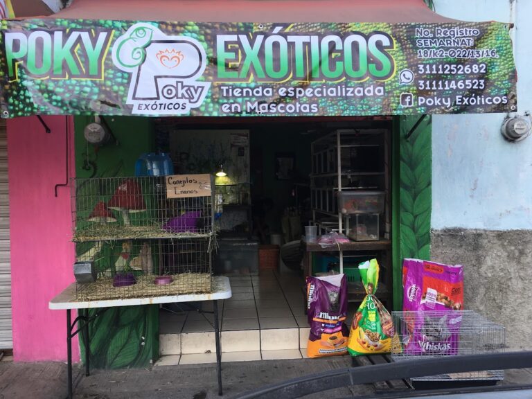 51587 poky exoticos 768x576