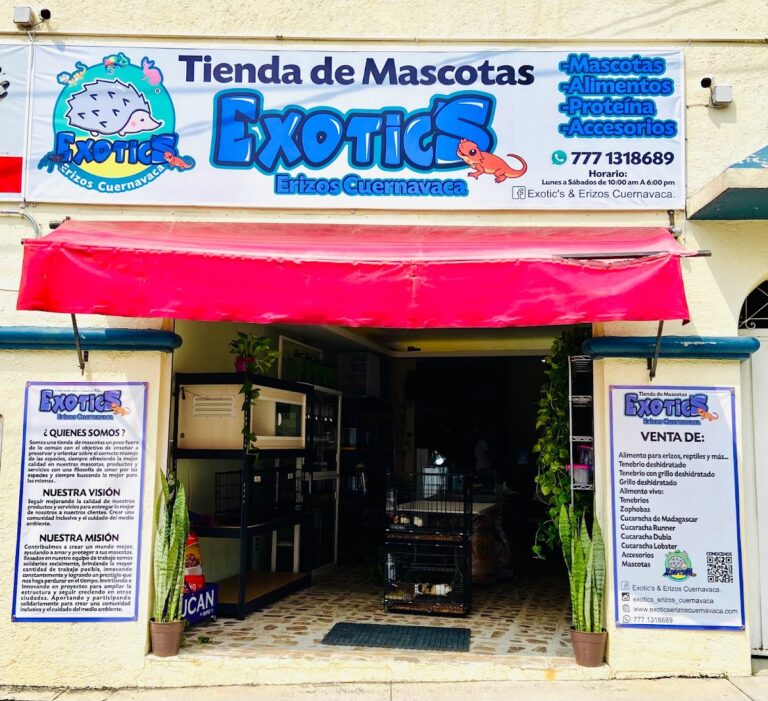 51598 exotics erizos cuernavaca 768x701