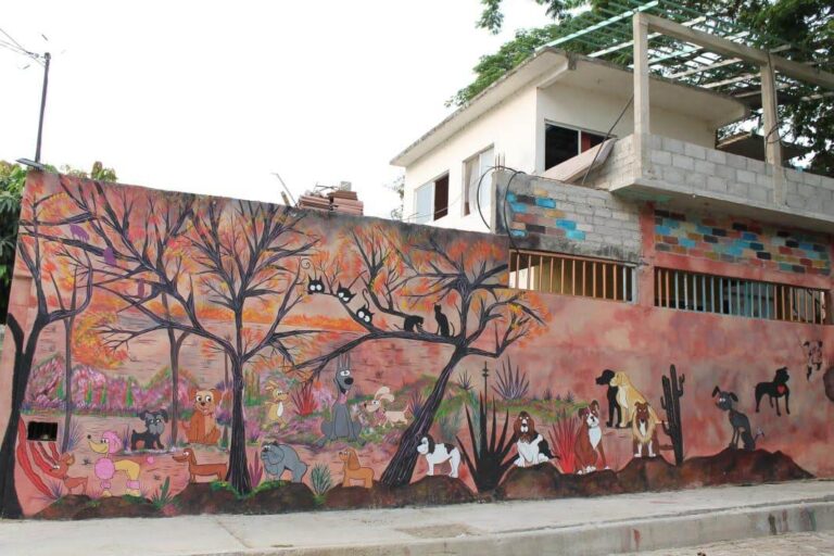 51600 la mascota callejera huatulco 768x512