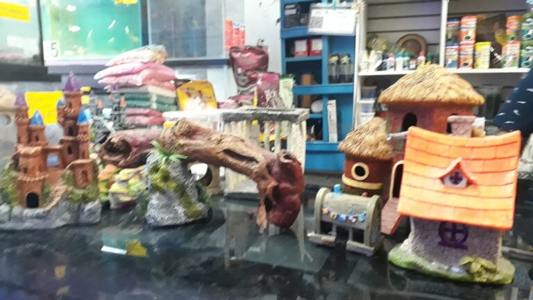 51610 mi ranchito 768x432