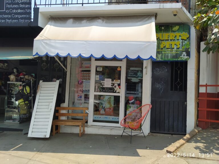 51612 puerto pets 768x576