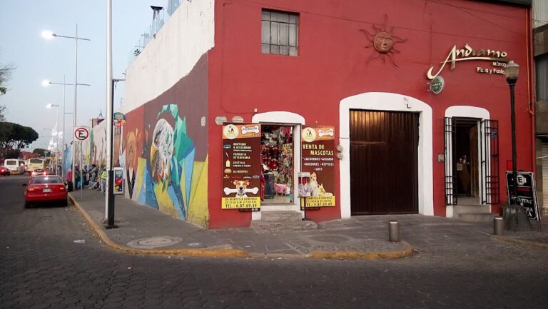 51616 tienda de mascotas 768x433