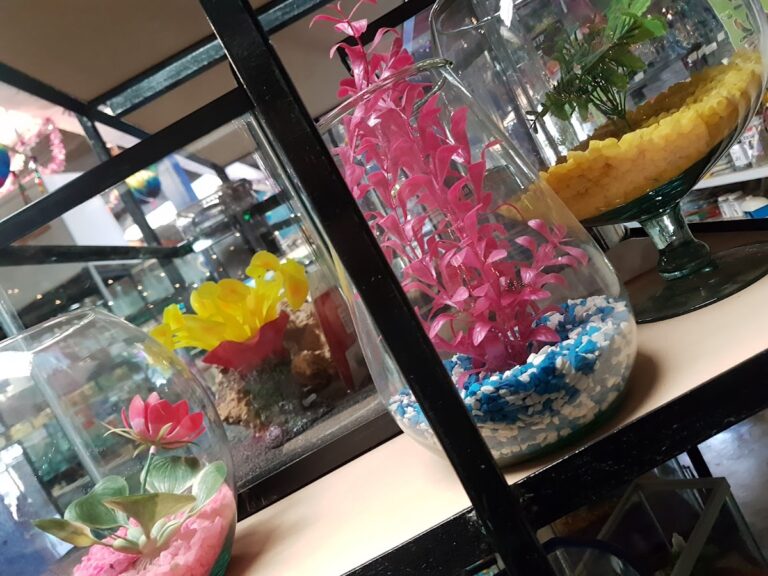 51624 mundo mascota 768x576