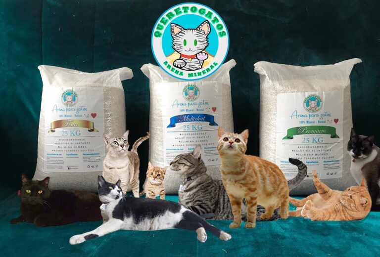 51668 queretogatos 768x520