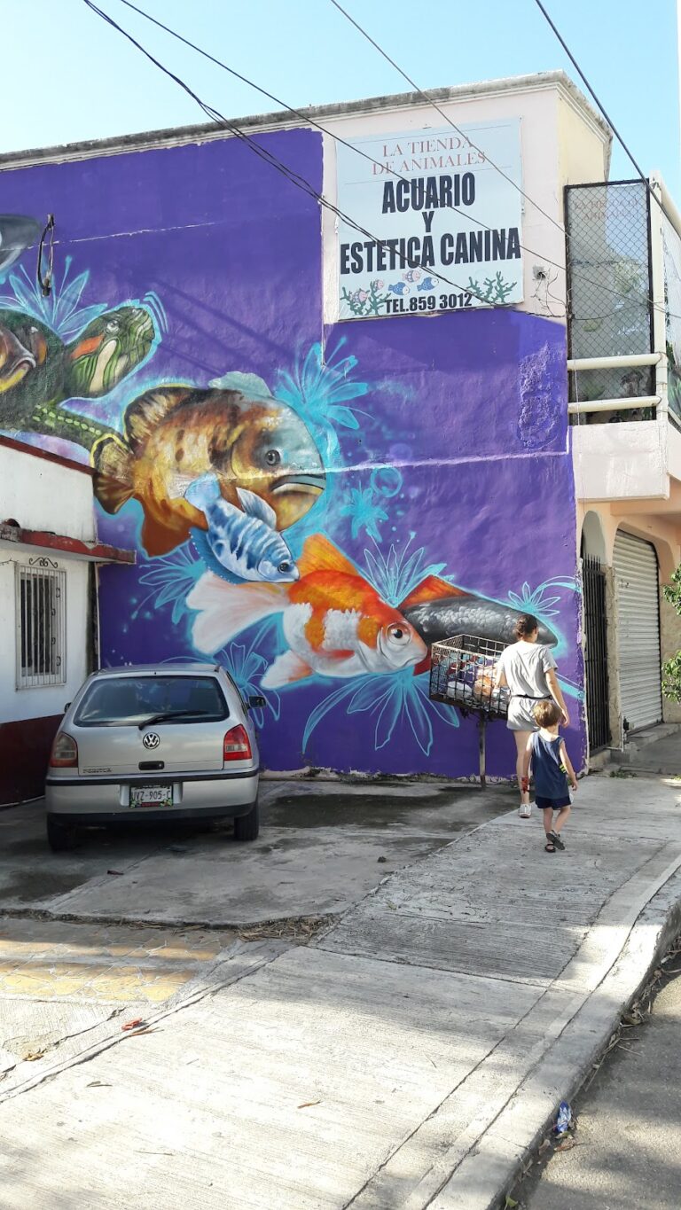 51680 acuario la tienda de animales 768x1365