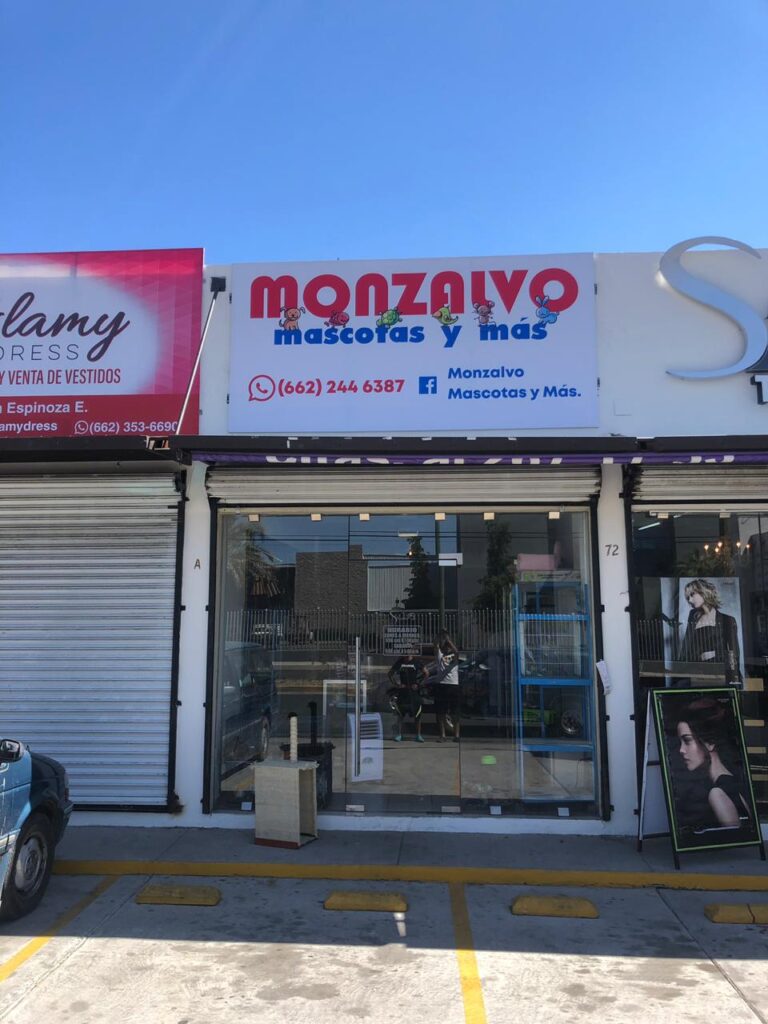 51698 monzalvo mascotas lopez portillo 768x1024