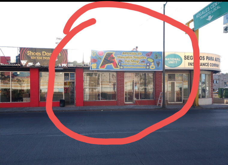 51706 nogales pet store veterinaria