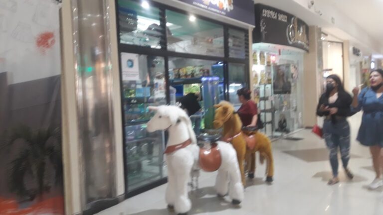 51714 d mascotas 768x432