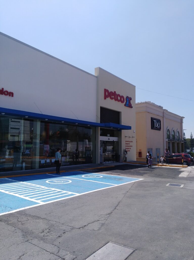 51762 petco xalapa 768x1027