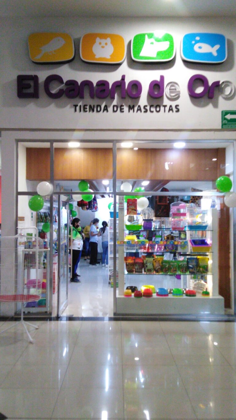 51772 my pet room tienda de mascotas 768x1368