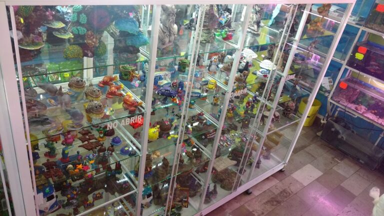 51788 reino animal 768x432