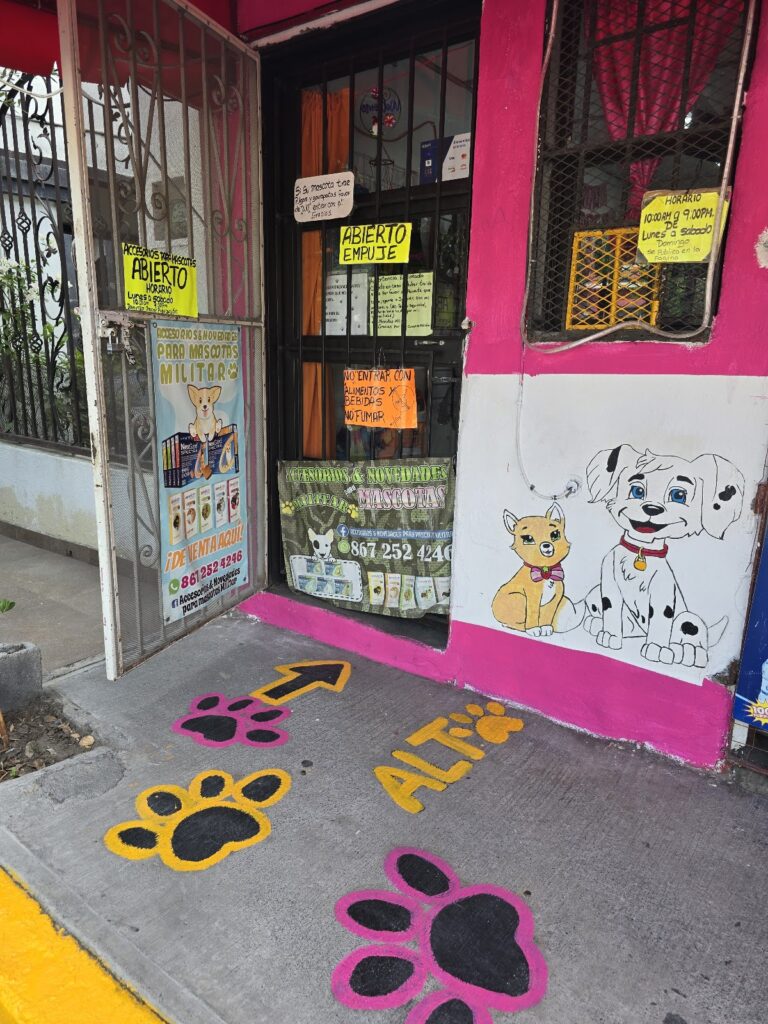 51804 accesorios novedades para mascota militar 768x1024