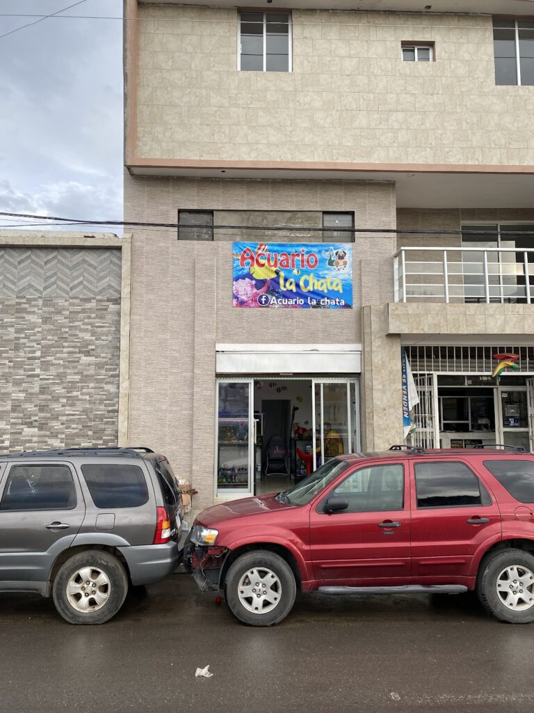 51812 acuario la chata 768x1024