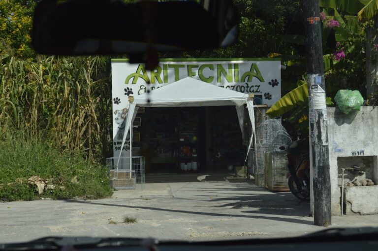 51818 aritecnia 768x511