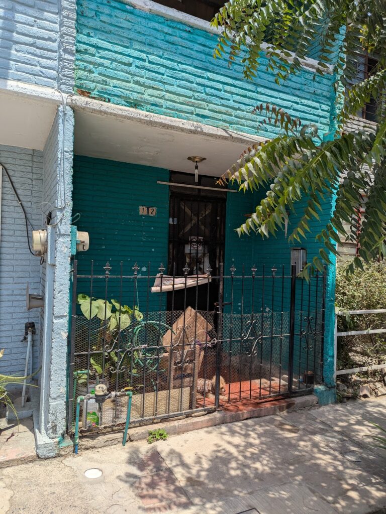 51923 copias e impresiones jasmine 768x1024