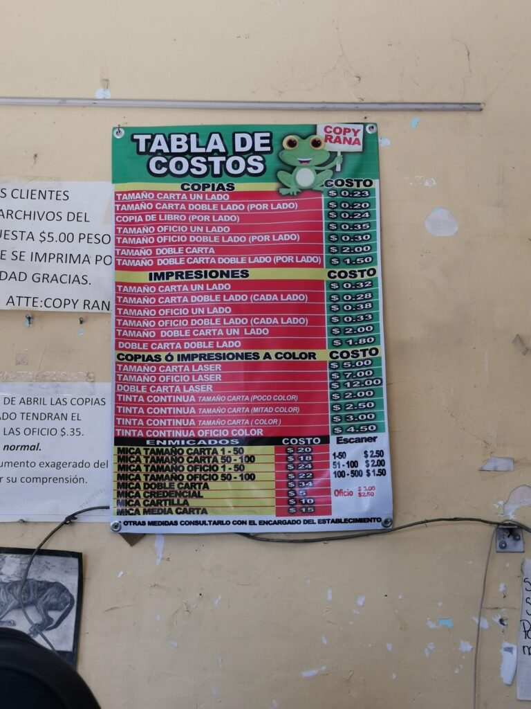 52068 copy rana 768x1024