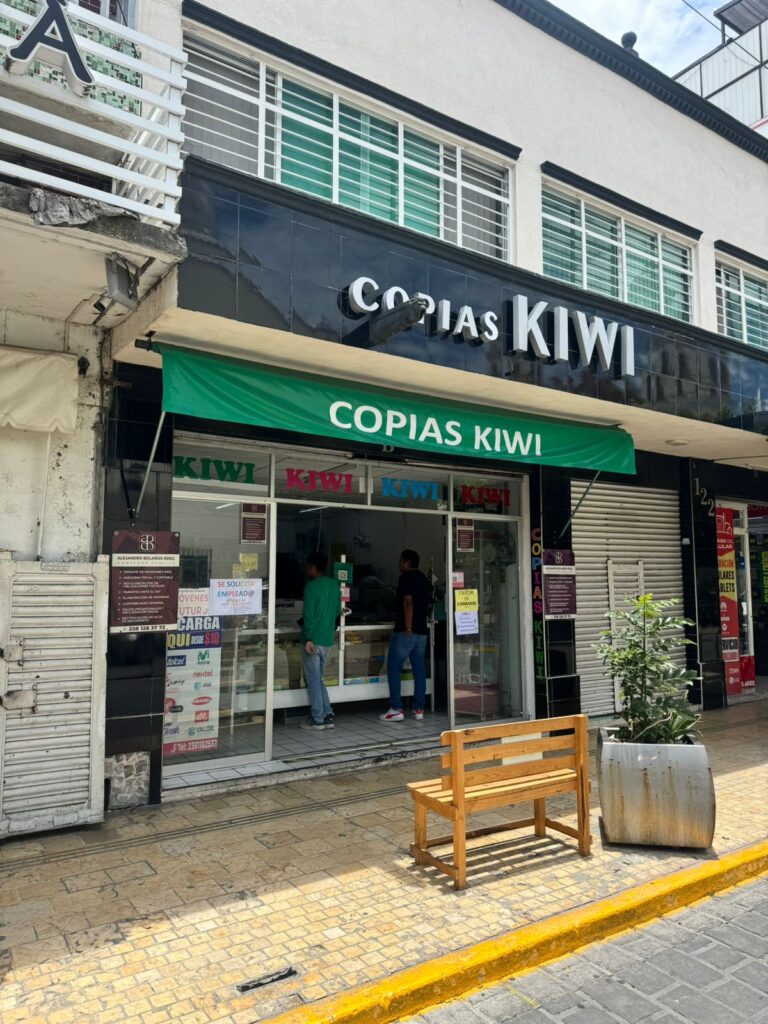 52150 copias kiwi 768x1024