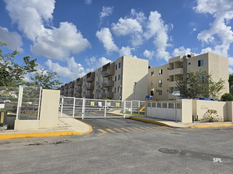 52156 impresiones y copias lettuce 768x576