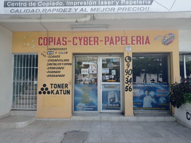 52207 copyserviciosmaz 768x574