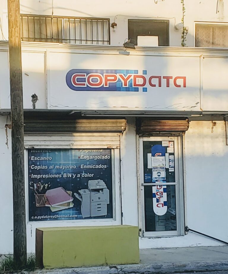 52246 copydata 768x924