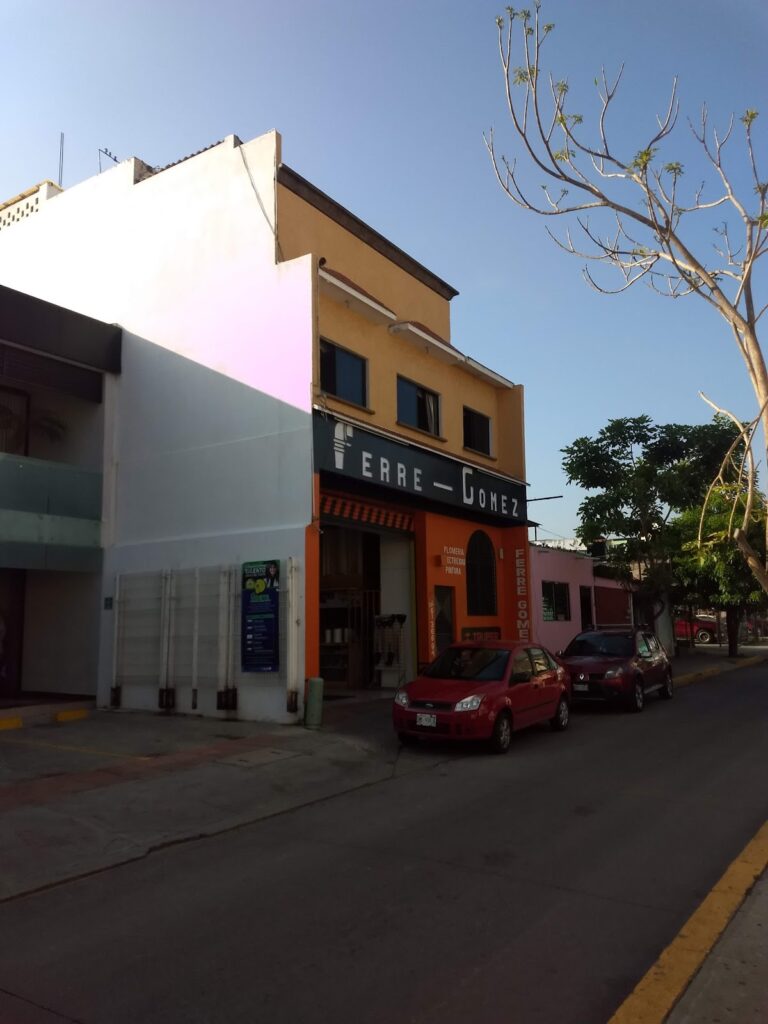 524 ferre gomez 768x1024