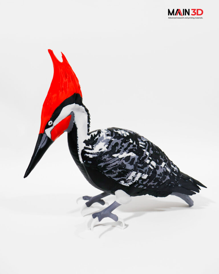 52419 main 3d 768x960