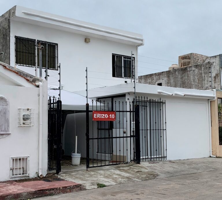 52619 erizo 10 impresion digital 768x694