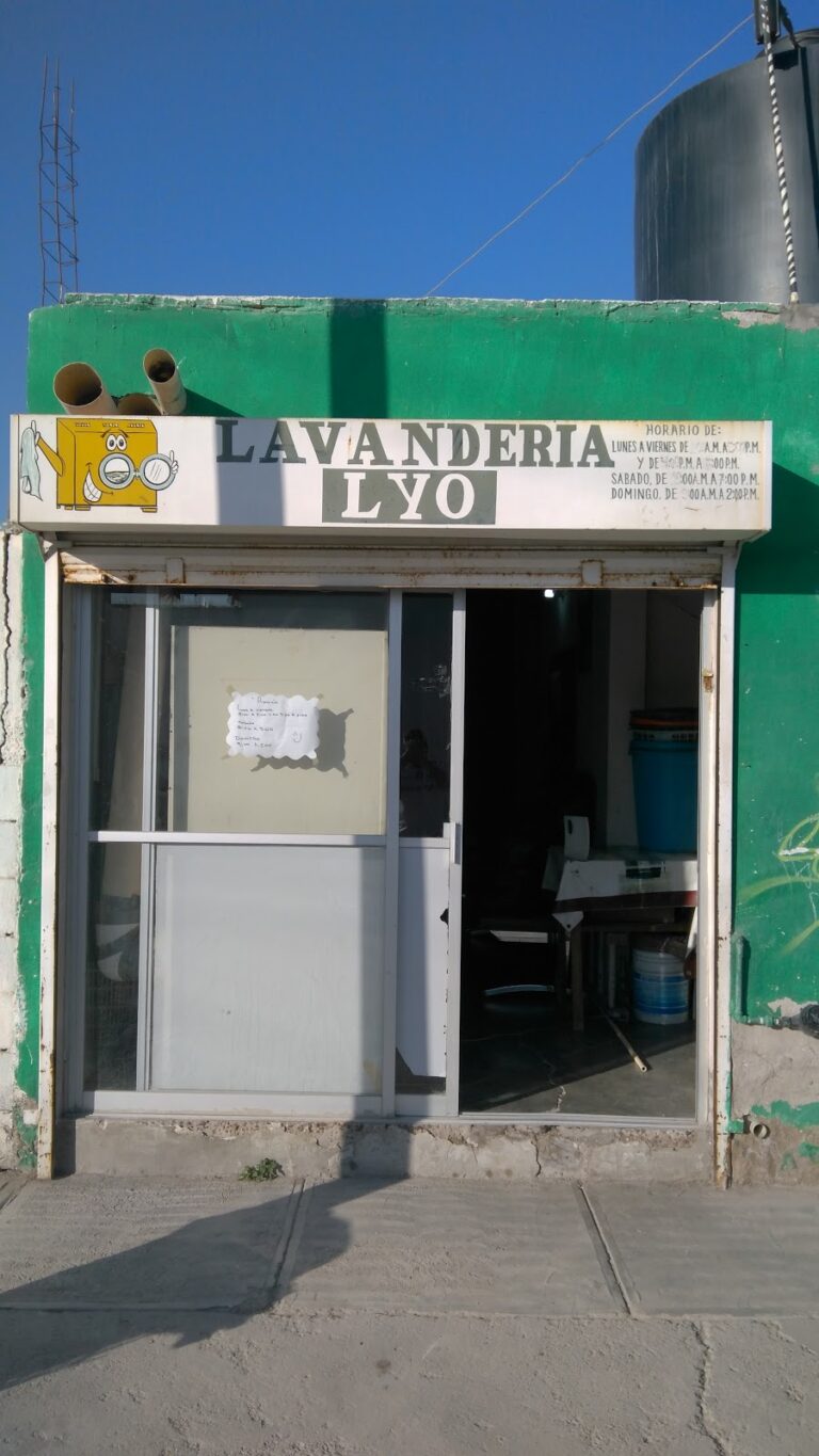 52836 lavanderia lyo 768x1365