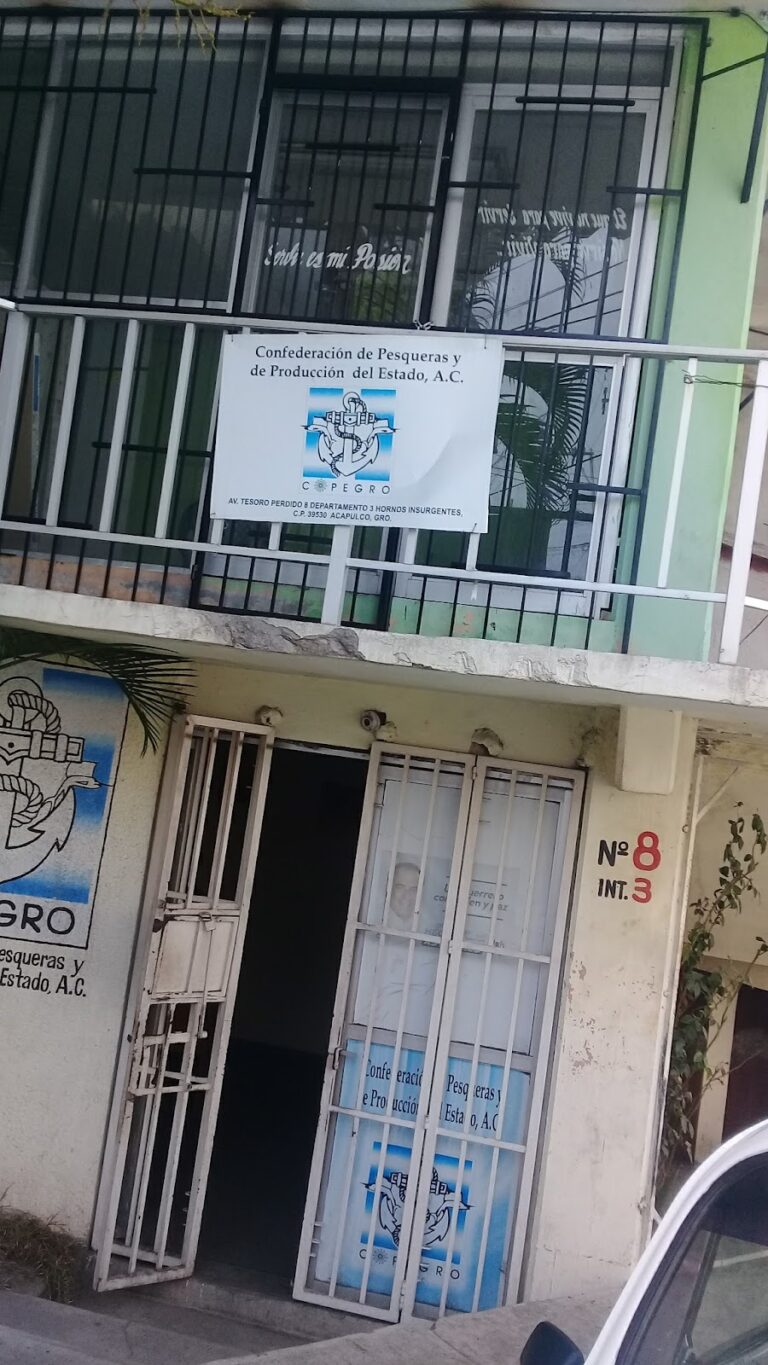 52848 lavanderia y tintoreria 8220ultra clean8221 768x1365