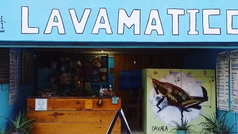 53016 lavanderia lavamatico oaxaca since 1971 768x432