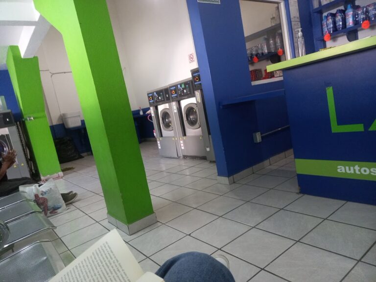 53032 lavo yo 768x576