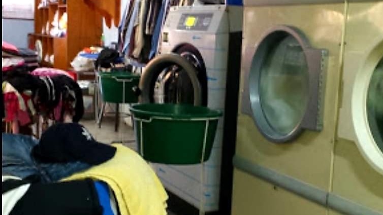 53099 lavanderia reforma