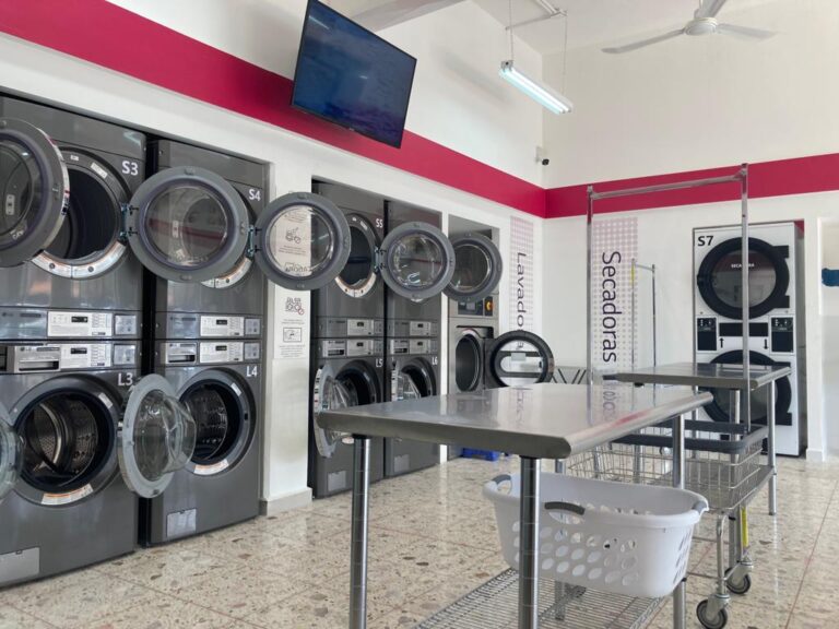 53160 lavanderia lg poza rica 768x576