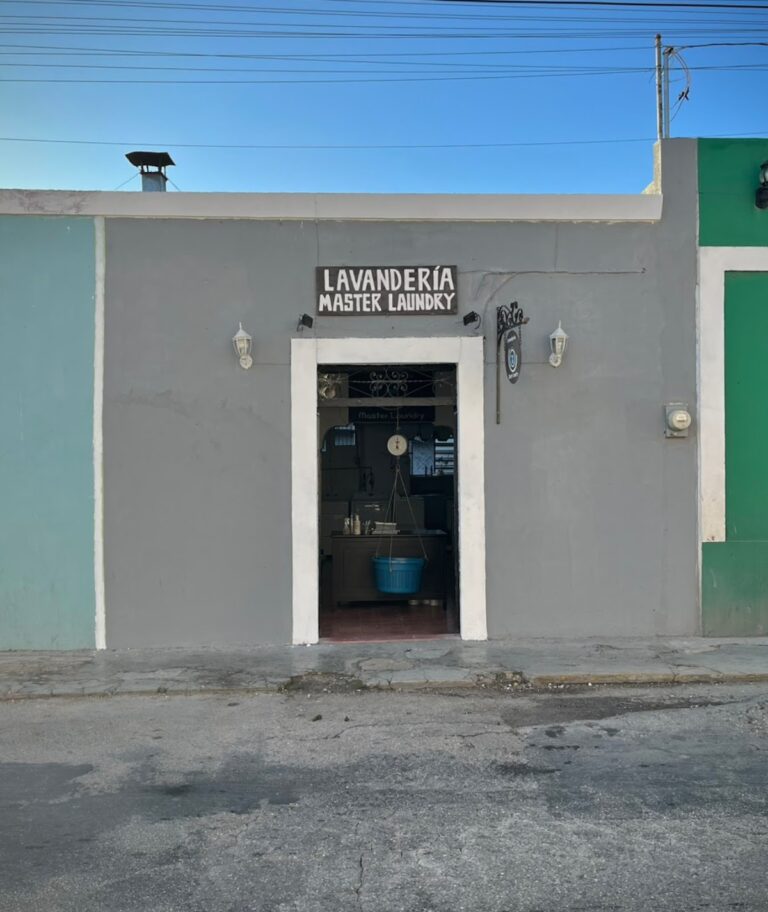 53190 lavanderia master laundry 768x912