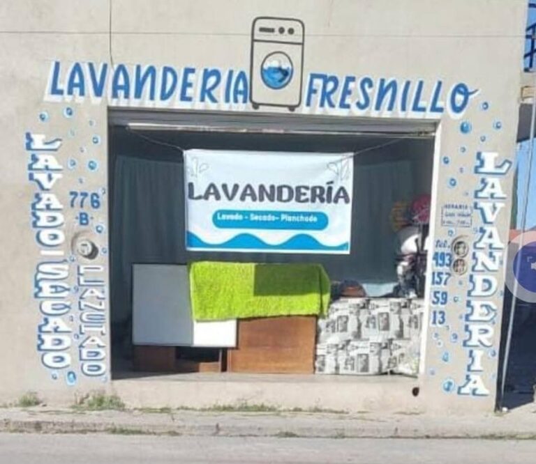 53210 lavanderia fresnillo 768x666