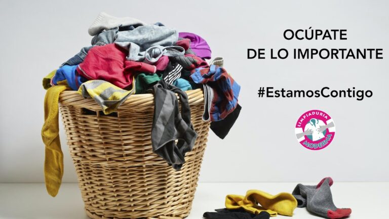 53223 limpiaduria moderna jardines del lago limpiaduria planchaduria y lavanderia 768x432