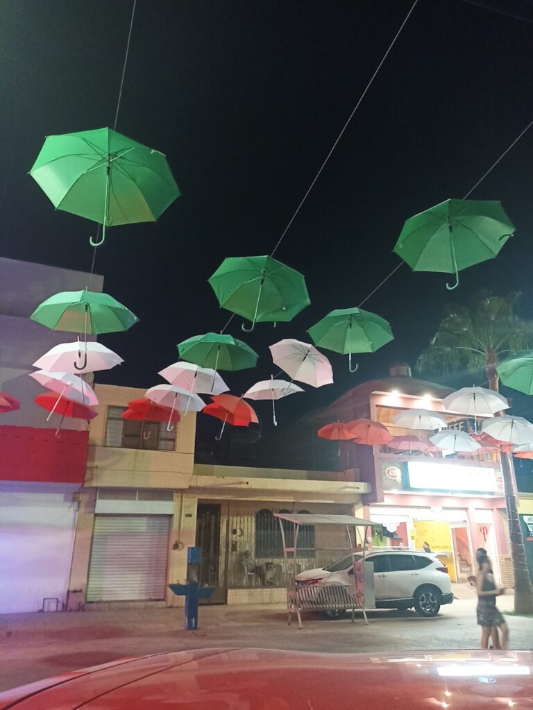 53312 tintoreria express 768x1023