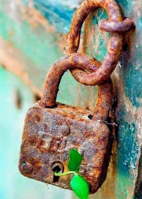 5357 cerrajeria miguel angel