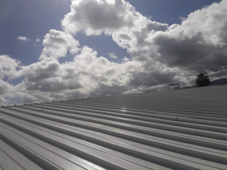 5808 pinta del bajio 768x576