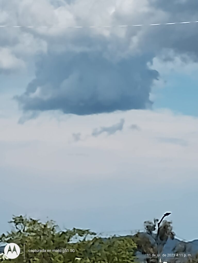 5919 sr pintor 768x1020