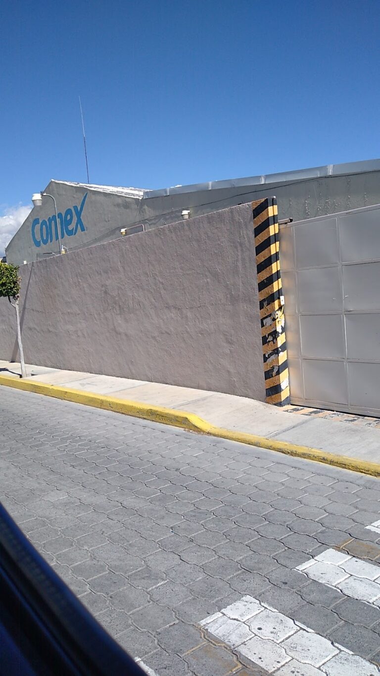 6023 centro pinturero de tehuacan 768x1365