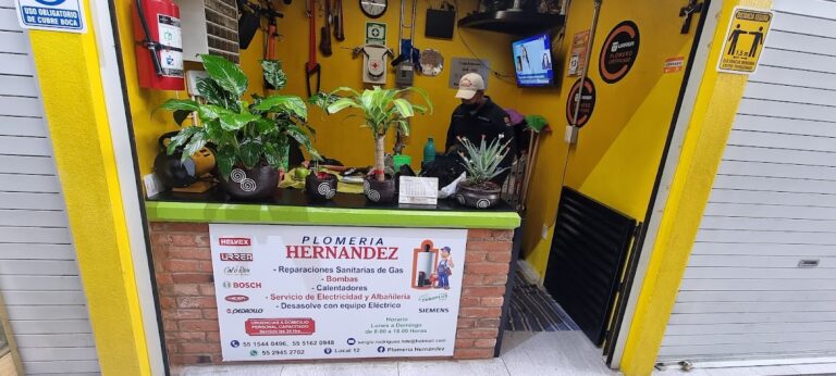 608 plomeria hernandez 768x346