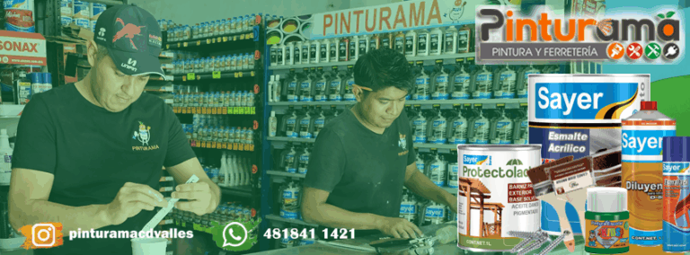 6080 pinturama suc lazaro cardenas 768x284